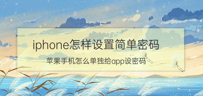 iphone怎样设置简单密码 苹果手机怎么单独给app设密码？